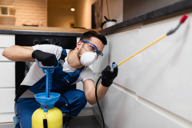 Best Pest Prevention Services  in University Heights, IA