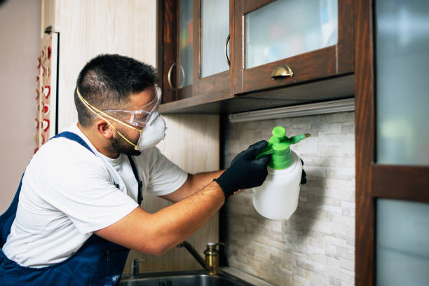 Best Emergency Pest Control  in University Heights, IA