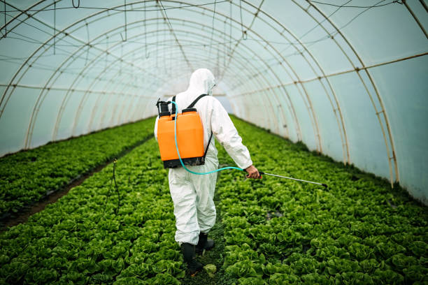 Best Emergency Pest Control  in University Heights, IA