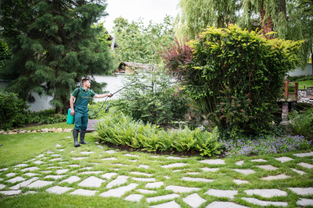Best Residential Pest Control  in University Heights, IA