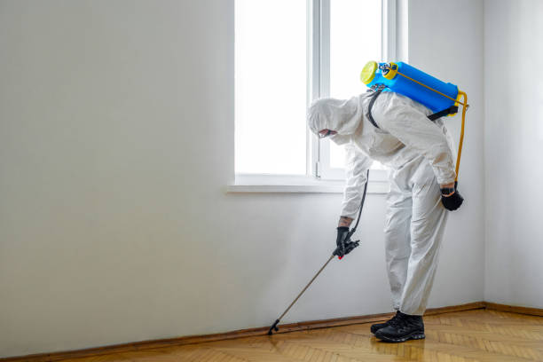 Best Local Pest Control Services  in University Heights, IA