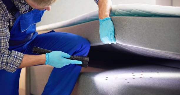 Best Affordable Pest Control Services  in University Heights, IA