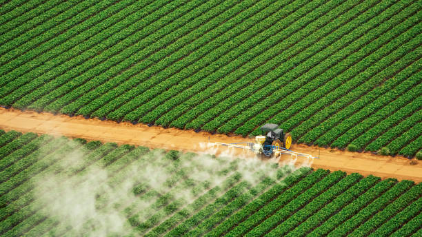 Best Ant Control Services  in University Heights, IA