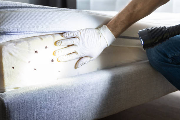 Best Pest Prevention Services  in University Heights, IA
