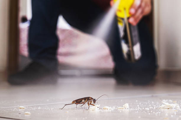 Best Cockroach Control Services  in University Heights, IA
