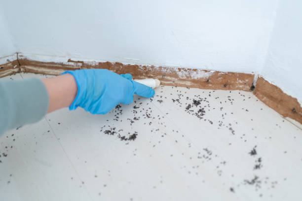 Best Exterminator Services  in University Heights, IA