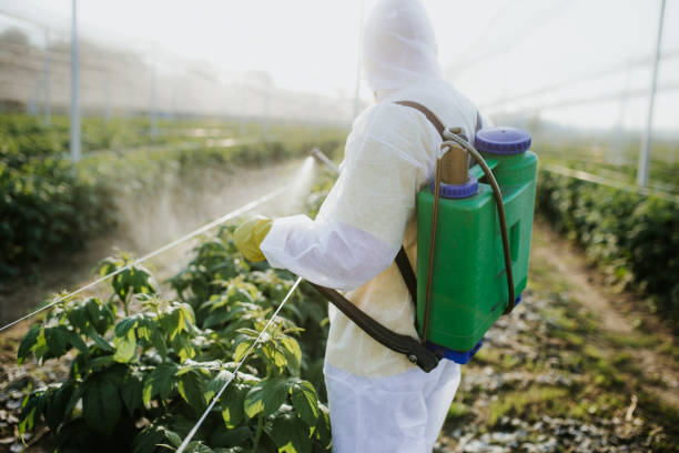 Reliable University Heights, IA Pest Control Solutions